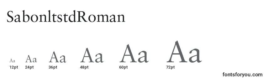 Размеры шрифта SabonltstdRoman