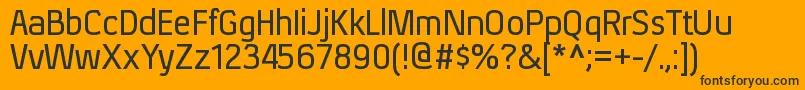 XenurgRegular Font – Black Fonts on Orange Background