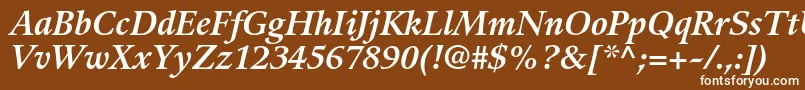 GuardiltstdBolditalic Font – White Fonts on Brown Background