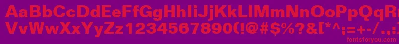 FolioLtBold Font – Red Fonts on Purple Background