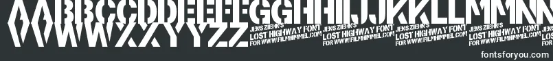 Подробнее о шрифте LostHighway Шрифт LostHighway – белые шрифты