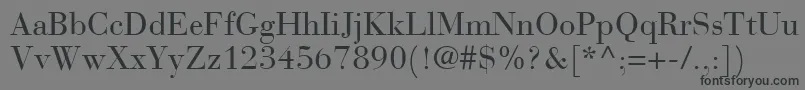 フォントBauerBodoniRoman – 黒い文字の灰色の背景