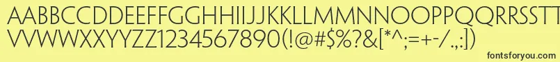 PenumbraflarestdLight Font – Black Fonts on Yellow Background