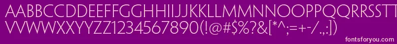 PenumbraflarestdLight Font – Pink Fonts on Purple Background