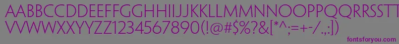 PenumbraflarestdLight Font – Purple Fonts on Gray Background