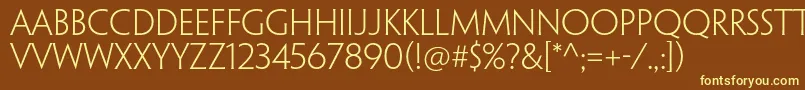 PenumbraflarestdLight Font – Yellow Fonts on Brown Background