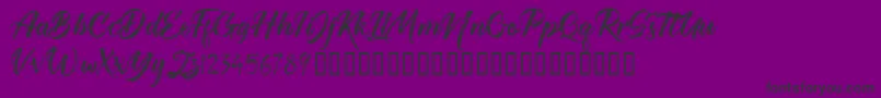 TheRedlightFree Font – Black Fonts on Purple Background