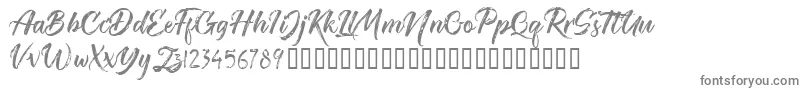 TheRedlightFree Font – Gray Fonts on White Background
