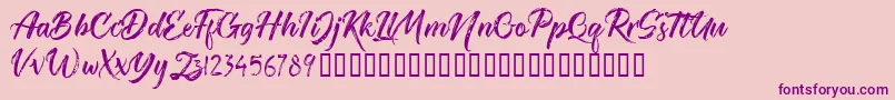 TheRedlightFree Font – Purple Fonts on Pink Background