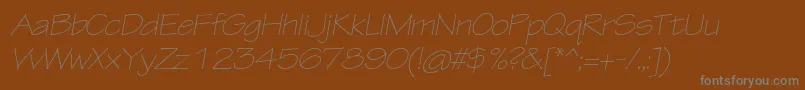 フォントTektonproLightextobl – 茶色の背景に灰色の文字