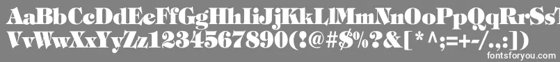 フォントTiffanyHeavyNormalTh – 灰色の背景に白い文字