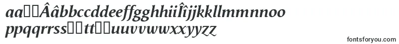 VegaAntikvaBolditalic-fontti – romanialaiset fontit