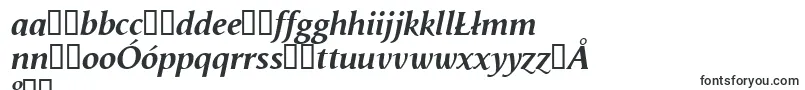 VegaAntikvaBolditalic-fontti – puolalaiset fontit