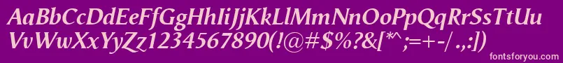 VegaAntikvaBolditalic Font – Pink Fonts on Purple Background