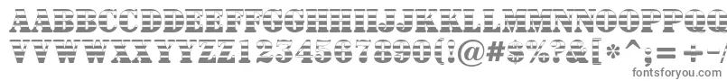 Шрифт ASignboardtitulgrd – серые шрифты на белом фоне