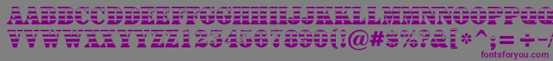 Czcionka ASignboardtitulgrd – fioletowe czcionki na szarym tle