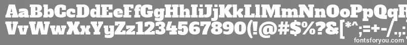 フォントAlfaSlabOne – 灰色の背景に白い文字