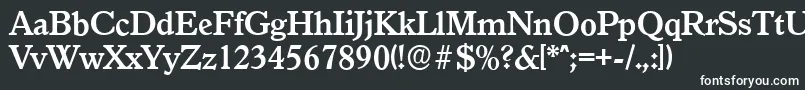 GranadaserialBold Font – White Fonts on Black Background