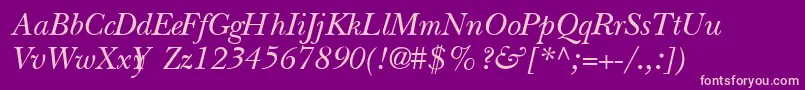 QuibbernItalic Font – Pink Fonts on Purple Background