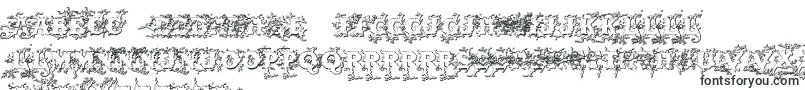 Darkwoodbeveled Font – Nyanja Fonts