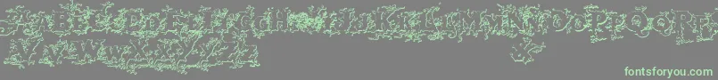 Darkwoodbeveled Font – Green Fonts on Gray Background