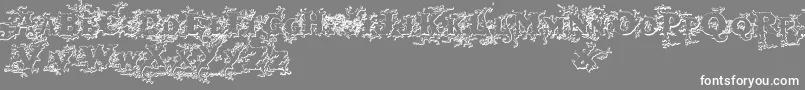 Darkwoodbeveled Font – White Fonts on Gray Background