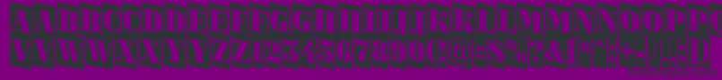 ABodoniortonrttlcmdn Font – Black Fonts on Purple Background