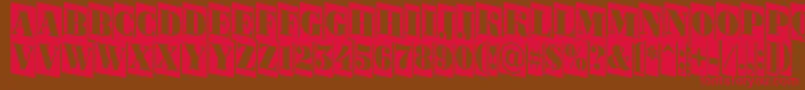 ABodoniortonrttlcmdn Font – Red Fonts on Brown Background