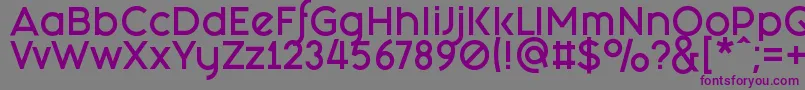 FashionFetishBold Font – Purple Fonts on Gray Background