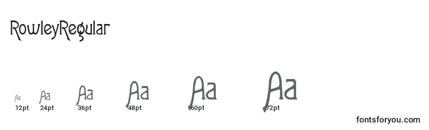 RowleyRegular Font Sizes