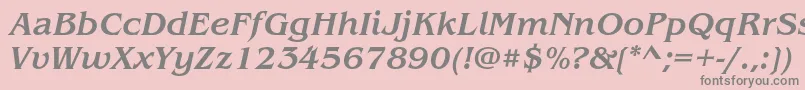 BenguiatstdMediumitalic Font – Gray Fonts on Pink Background