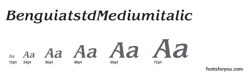BenguiatstdMediumitalic Font Sizes