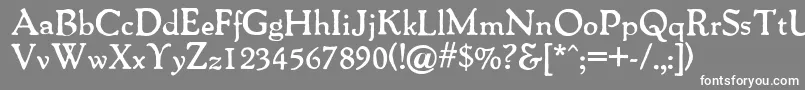 Packardantique ffy Font – White Fonts on Gray Background