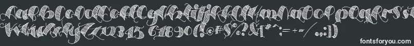 フォントEspesorolas2 – 白い文字