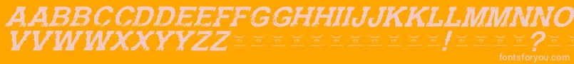 GunfighteracademyItalic Font – Pink Fonts on Orange Background