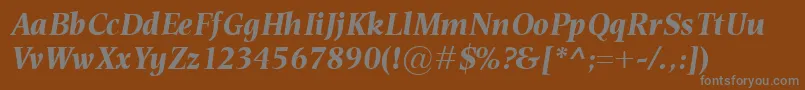 EsperantoBolditalic Font – Gray Fonts on Brown Background