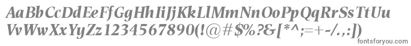 EsperantoBolditalic Font – Gray Fonts on White Background