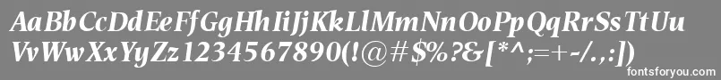 EsperantoBolditalic Font – White Fonts on Gray Background