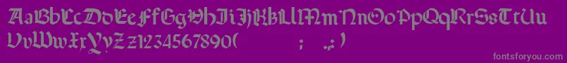 Terrotunda Font – Gray Fonts on Purple Background