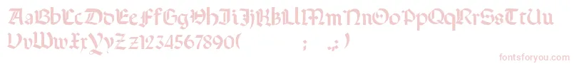 Terrotunda Font – Pink Fonts on White Background