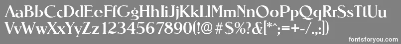 NevadaserialMediumRegular Font – White Fonts on Gray Background