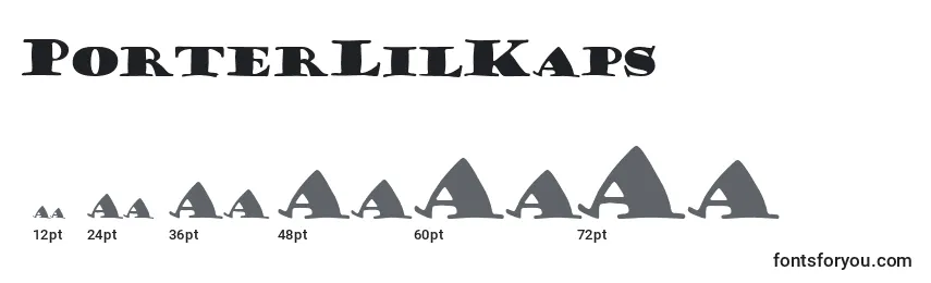 Размеры шрифта PorterLilKaps