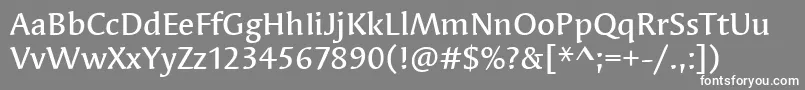 フォントSyndorItcMedium – 灰色の背景に白い文字