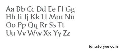 Review of the SyndorItcMedium Font