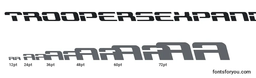Troopersexpandleft Font Sizes