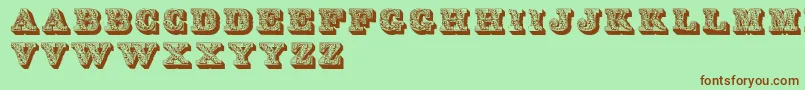 Dslettres Font – Brown Fonts on Green Background