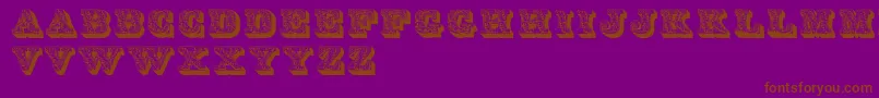 Dslettres Font – Brown Fonts on Purple Background