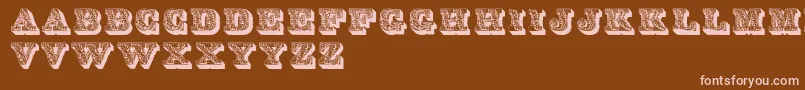 Dslettres Font – Pink Fonts on Brown Background