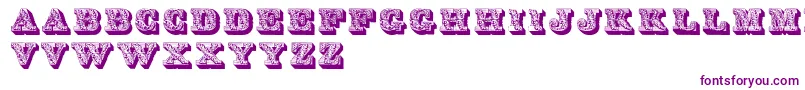 Dslettres-Schriftart – Violette Schriften auf weißem Hintergrund