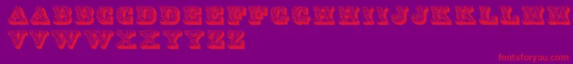 Dslettres Font – Red Fonts on Purple Background